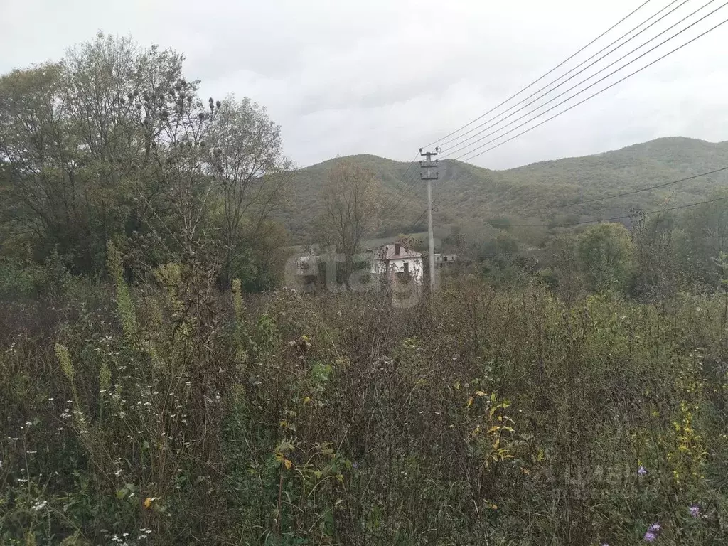 Участок в Краснодарский край, Геленджик городской округ, с. Береговое ... - Фото 1