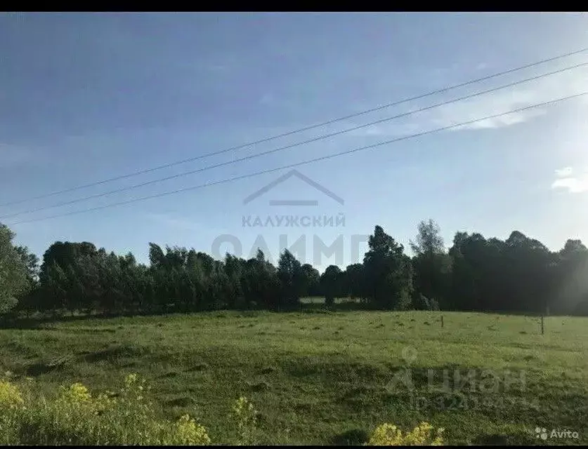 Участок в Калужская область, Боровский муниципальный округ, ... - Фото 2