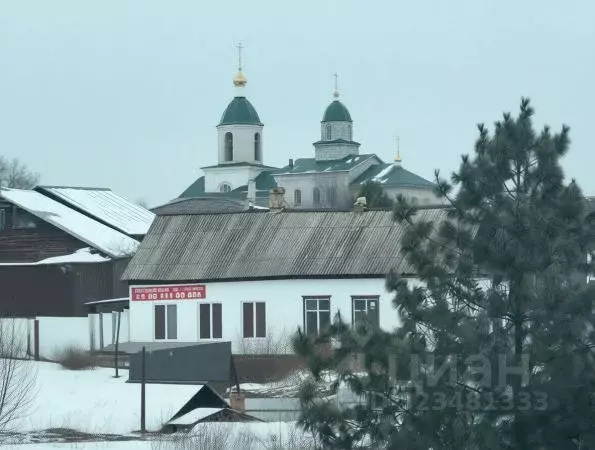 Дом в Амурская область, Благовещенский район, с. Чигири Школьный пер., ... - Фото 1