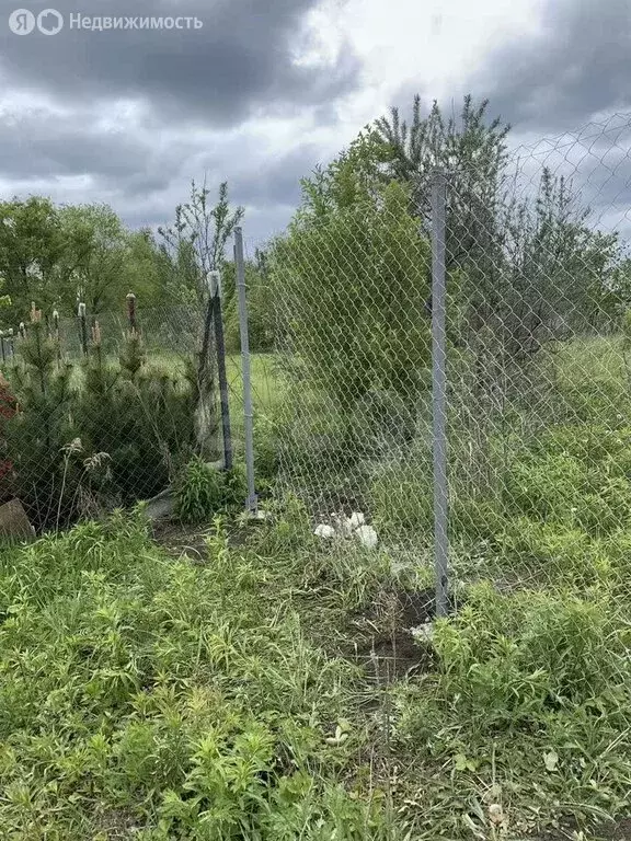 Участок в Воронеж, СНТ Дубрава, Клубничная улица (12 м) - Фото 1