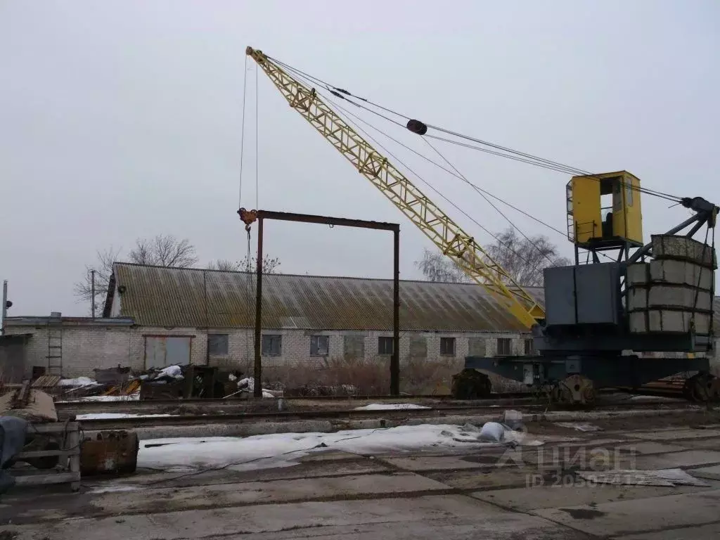 Производственное помещение в Саратовская область, Тарханы ст. ул. ... - Фото 0