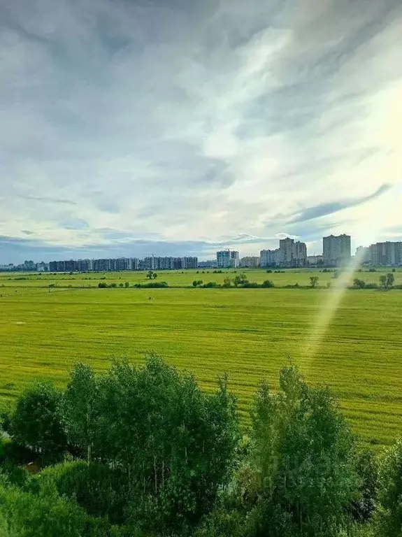Студия Ленинградская область, Мурино Всеволожский район, бул. ... - Фото 1