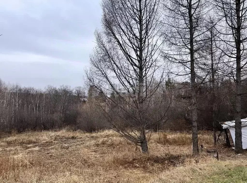 Участок в Амурская область, Благовещенск Эфир СНТ,  (10.9 сот.) - Фото 0