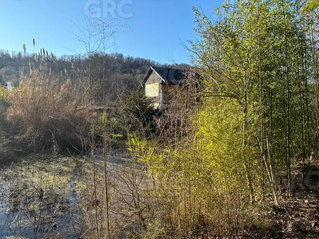 Участок в Краснодарский край, Сочи городской округ, с. Горное Лоо ул. ... - Фото 1