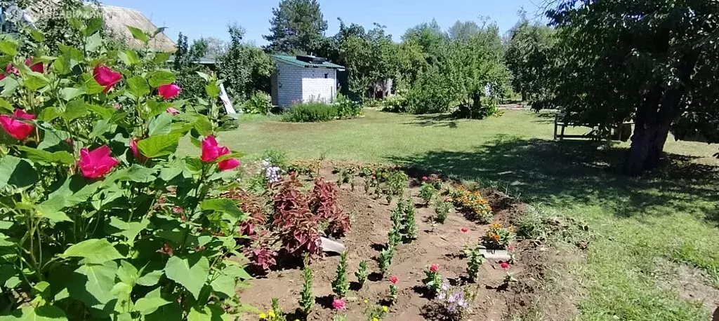 Дом в Среднеахтубинский район, городское поселение Краснослободск, СНТ ... - Фото 0