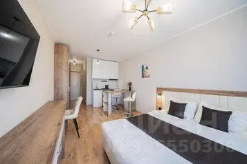 1-к кв. Санкт-Петербург пос. Парголово, проезд Толубеевский, 8к2 (26.0 ... - Фото 1