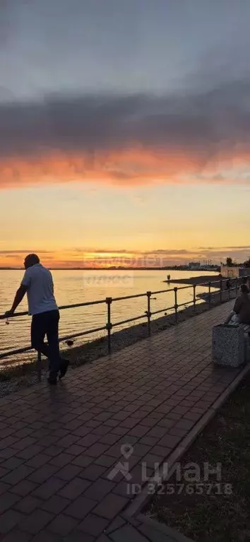 Студия Крым, Саки ул. Курортная, 71 (42.0 м) - Фото 1