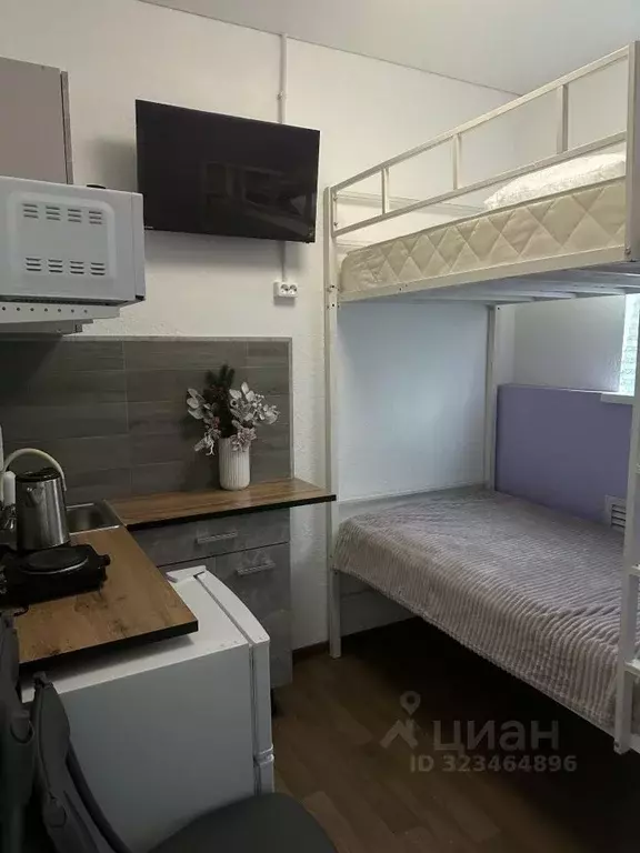 1-к кв. Московская область, Раменское пос. Красный Октябрь, 23 (19.0 ... - Фото 2