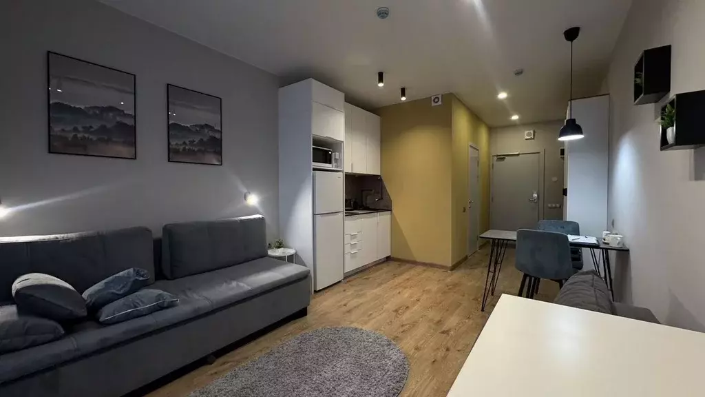 Студия Санкт-Петербург дор. На Турухтанные острова, 5к1 (25.0 м) - Фото 2