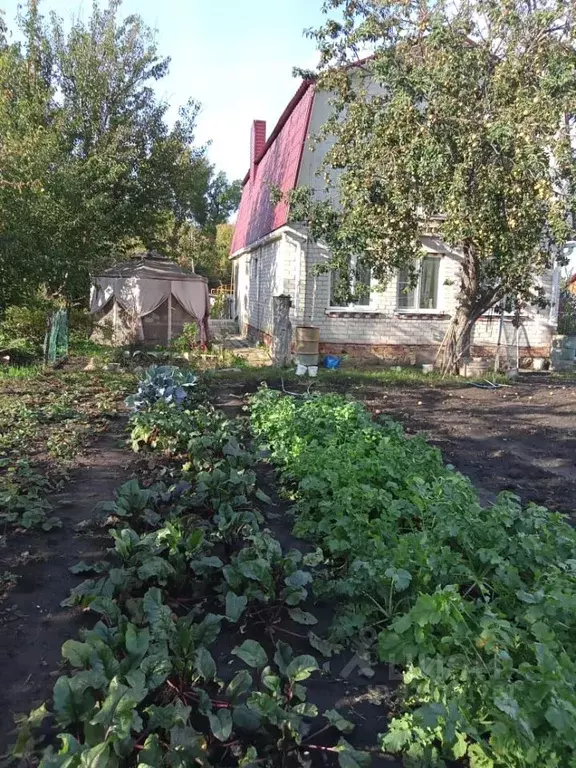 Дом в Воронежская область, Семилуки ул. Займище, 33 (70 м) - Фото 1
