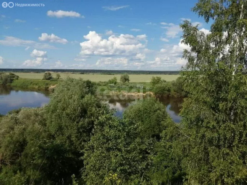 Участок в сельское поселение Дворцы, деревня Колышево (10 м) - Фото 0
