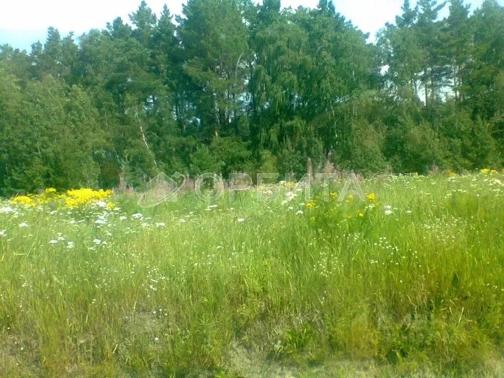 Участок в Тюменская область, Тюмень Лаванда садовое товарищество,  ... - Фото 1