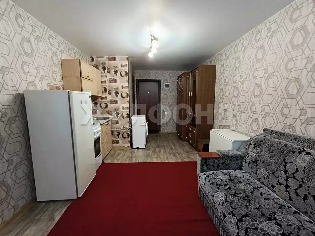 Студия Алтайский край, Барнаул ул. Эмилии Алексеевой, 60 (18.2 м) - Фото 1