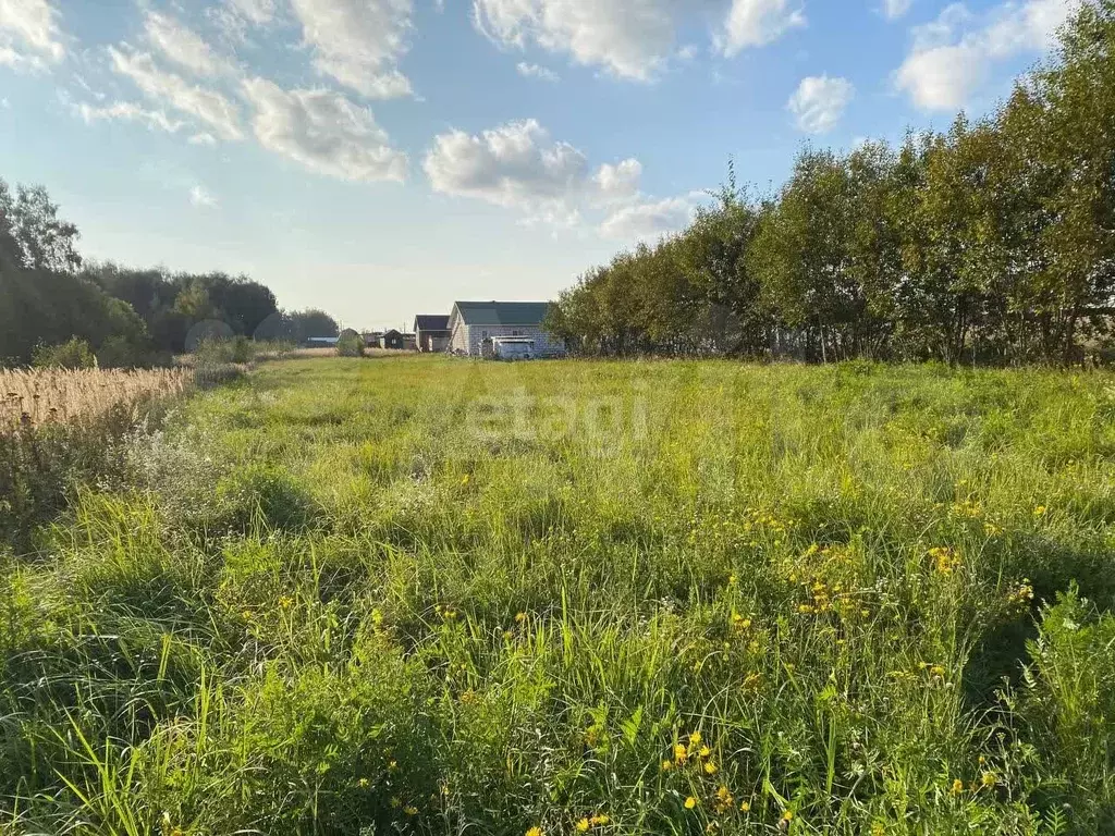 Купить Квартиру В Акатьево Коломенского Района