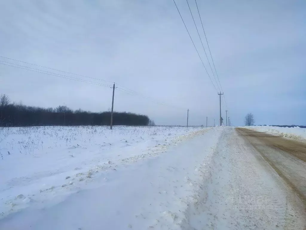 Участок в Московская область, Серебряные Пруды пгт пл. Советская ... - Фото 1