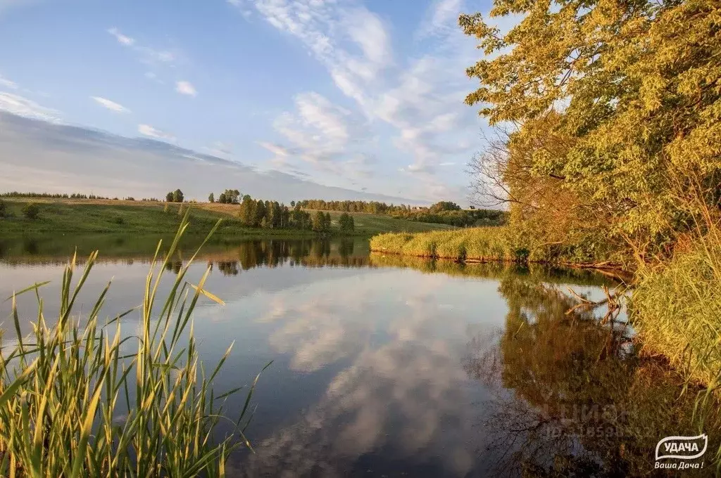 Участок в Тульская область, Ясногорский район, Теляковское с/пос, д. ... - Фото 2