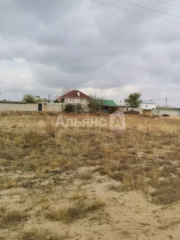 Участок в Ростовская область, Белокалитвинский район, Нижнепоповское ... - Фото 2