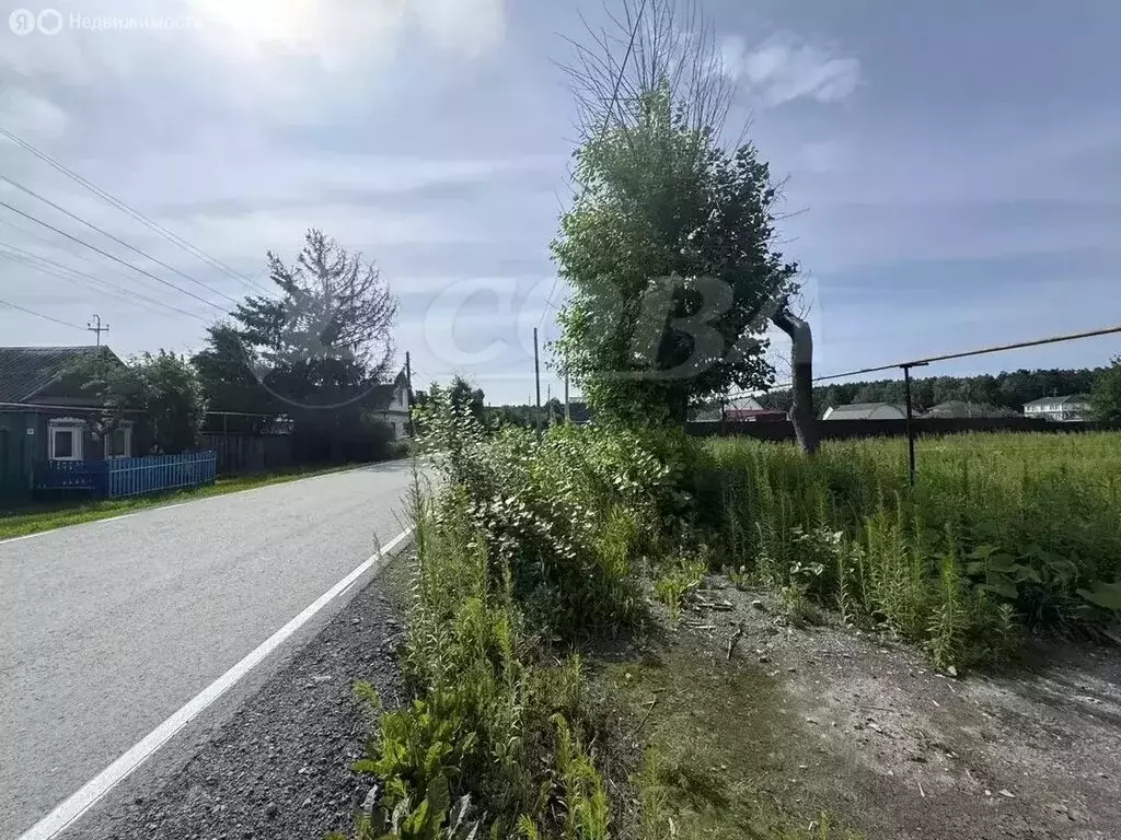 Участок в Тюменский муниципальный округ, деревня Дударева (10.5 м) - Фото 2