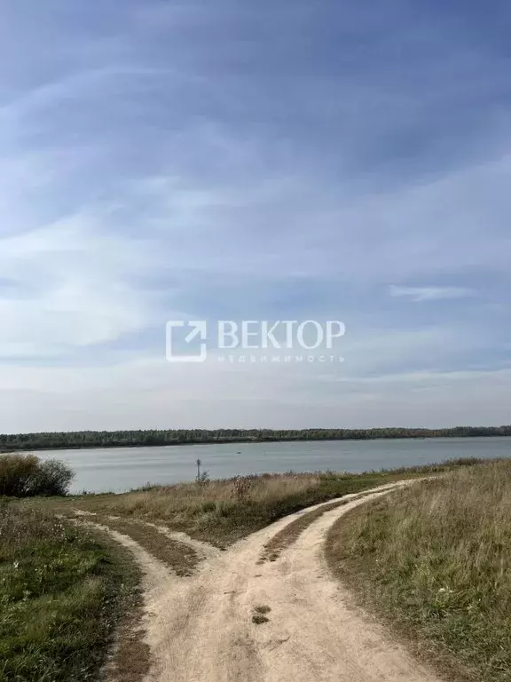 Дом в Ивановская область, Ивановский район, Беляницкое с/пос, д. ... - Фото 1