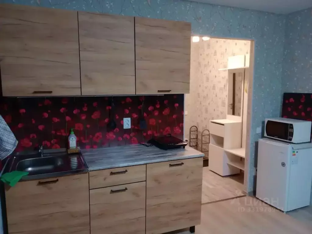 Студия Вологодская область, Вологда ул. Гагарина, 80Ак2 (25.0 м) - Фото 1