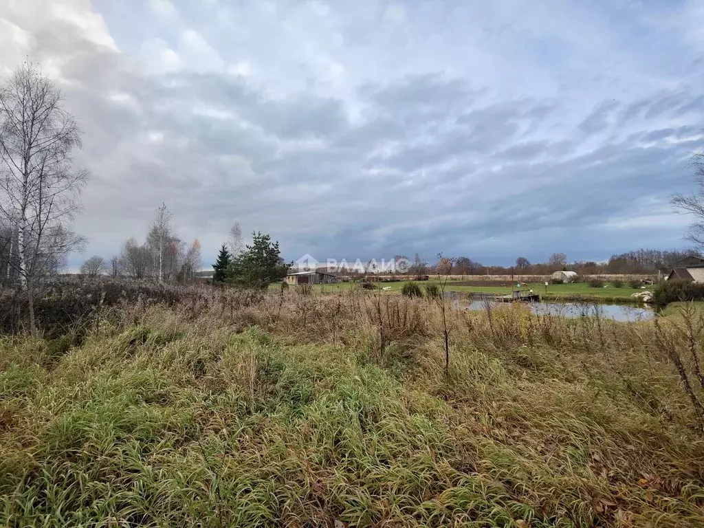Участок в Калужская область, Медынский муниципальный округ, Михеево ... - Фото 1