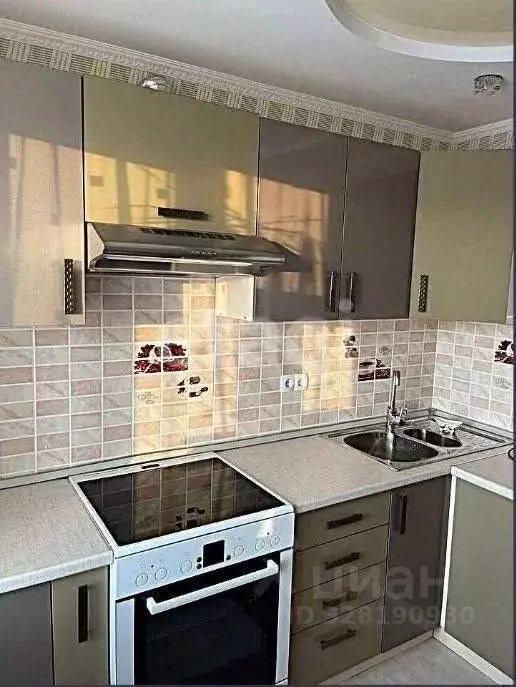 1-к кв. Амурская область, Благовещенский район, с. Чигири ул. ... - Фото 1