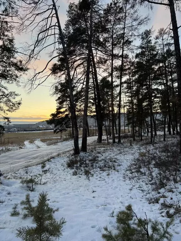 Участок в Саха (Якутия), Якутск ш. Покровское (12.0 сот.) - Фото 2