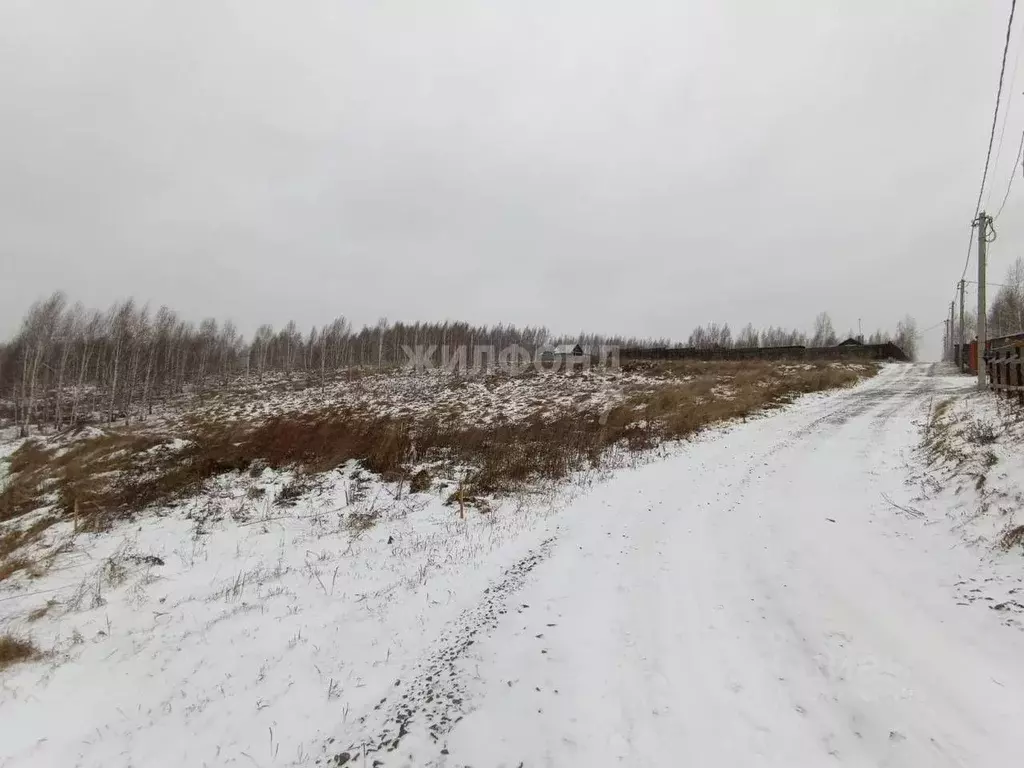 Участок в Новосибирская область, Новосибирский район, Станционный ... - Фото 0