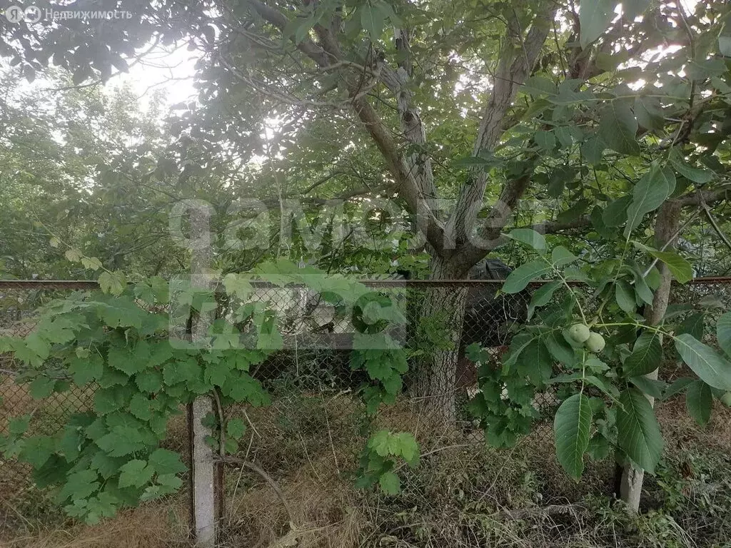 Участок в Наташино, Крымская улица, 2Б (0.19 м) - Фото 2