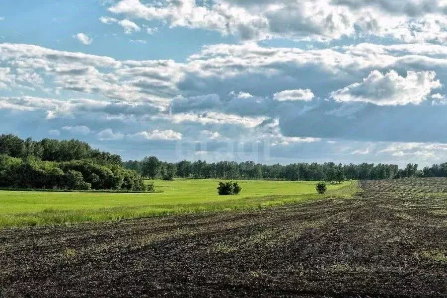 Участок в Татарстан, Высокогорский район, с. Большие Ковали  (9210.0 ... - Фото 2