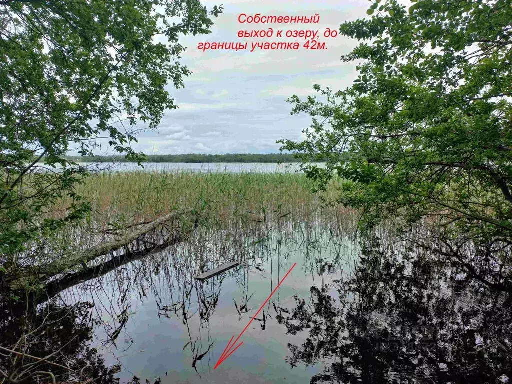 Участок в Ленинградская область, Приозерский район, Мельниковское ... - Фото 1
