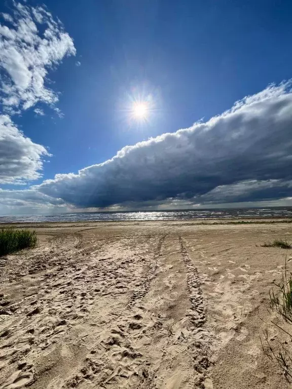 Участок в Ленинградская область, Кингисеппский район, Куземкинское ... - Фото 2
