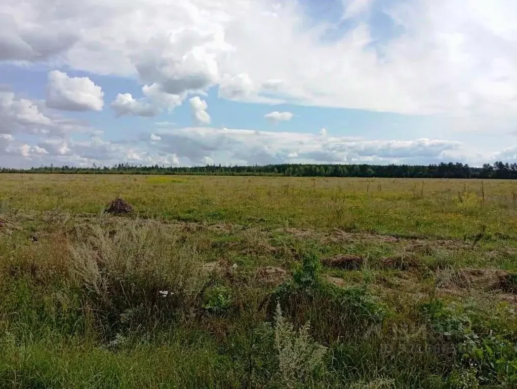 Участок в Владимирская область, Киржачский муниципальный округ, д. ... - Фото 2