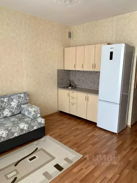 Студия Красноярский край, Красноярск ул. Борисова, 42 (19.4 м) - Фото 0