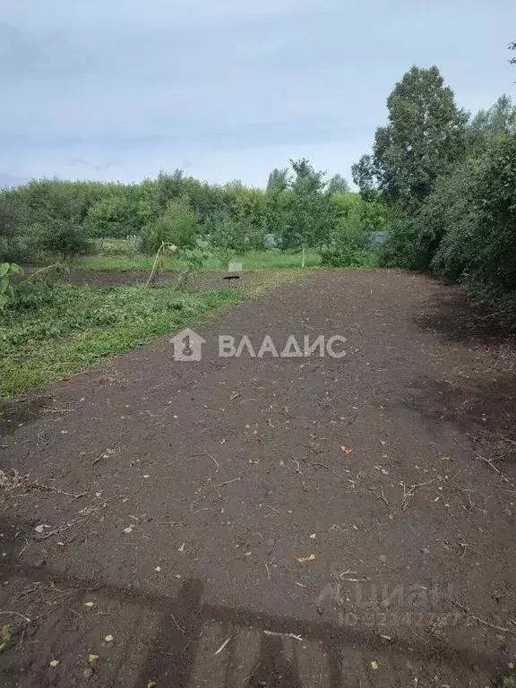 Участок в Нижегородская область, Спасский муниципальный округ, д. ... - Фото 0