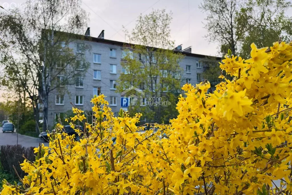 2-комнатная квартира: Петергоф, бульвар Разведчика, 6к4 (41.4 м) - Фото 2