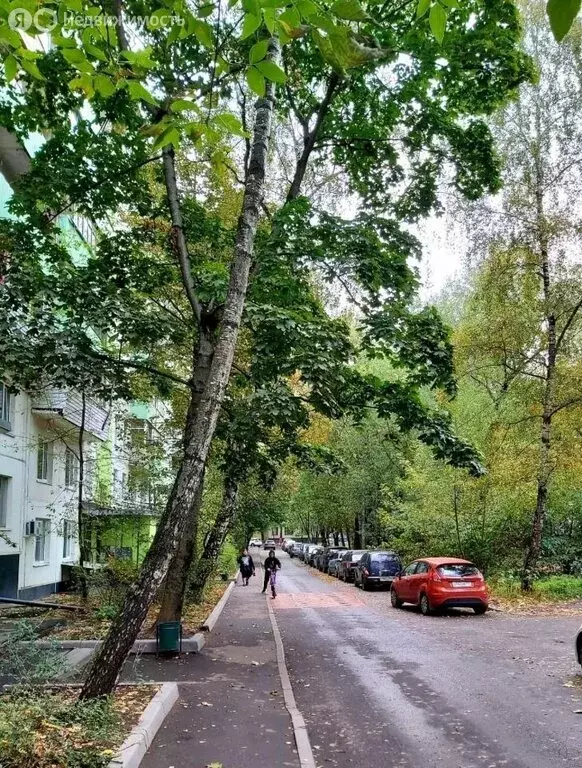 2-комнатная квартира: Москва, улица Молдагуловой, 16к2 (55 м) - Фото 0