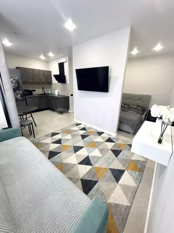 Студия Московская область, Старая Купавна Богородский городской округ, ... - Фото 2