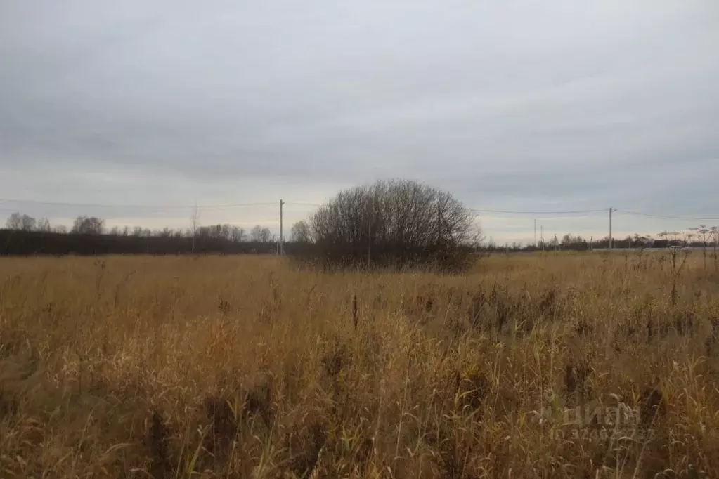 Участок в Московская область, Шаховская муниципальный округ, с. Белая ... - Фото 1