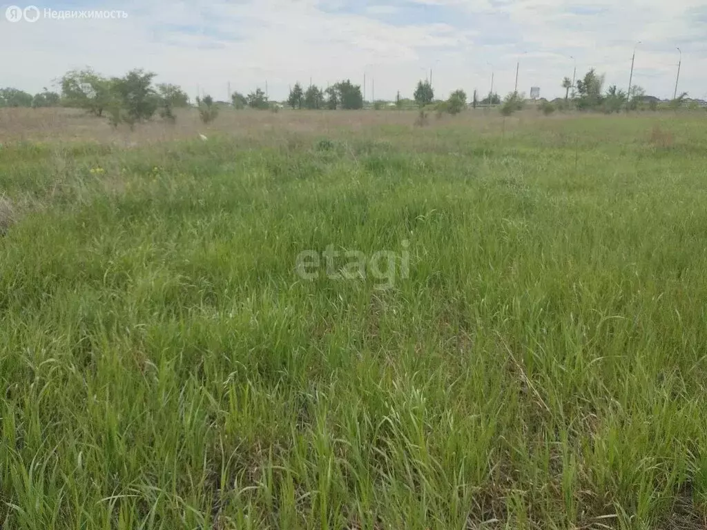 Участок в деревня Кайбалы, Бирилюсская улица (10 м) - Фото 0