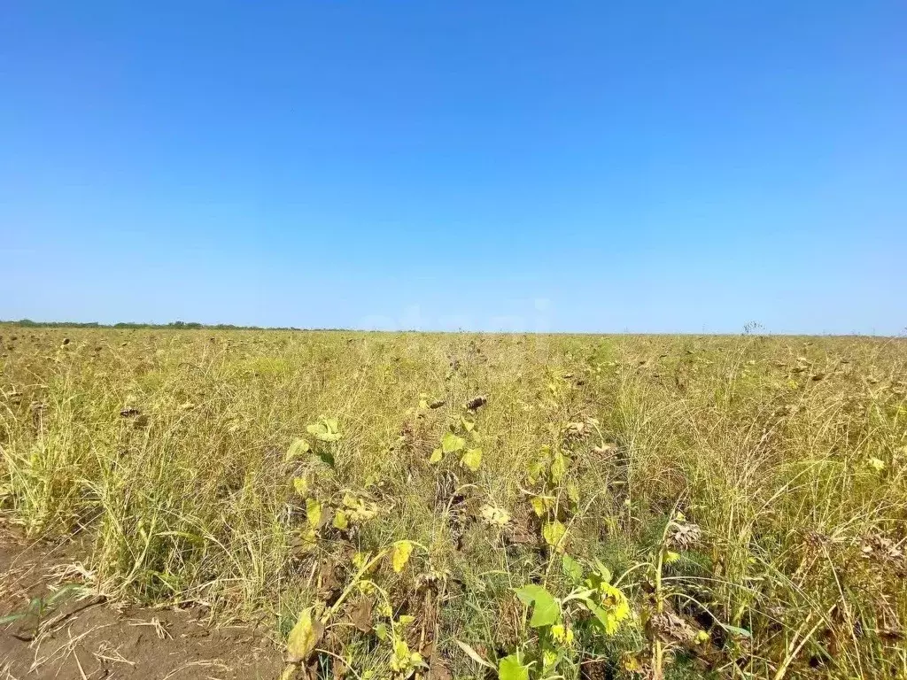 Участок в Краснодарский край, Ейск  (6.0 сот.) - Фото 1