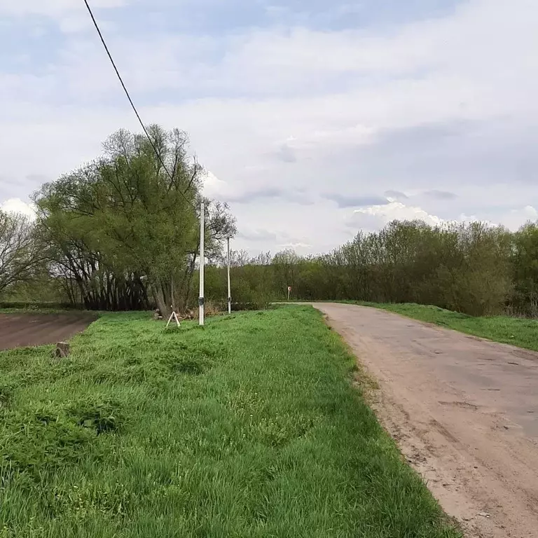 Участок в Воронежская область, Хохольский район, с. Староникольское ... - Фото 1