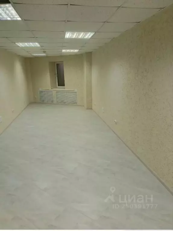 Помещение свободного назначения в Тверская область, Тверь Свободный ... - Фото 1