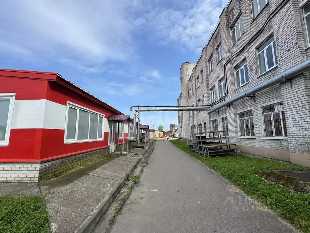 Склад в Брянская область, Брянск ул. Абашева, 19 (12000 м) - Фото 1