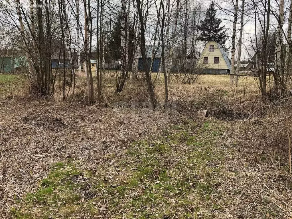 Участок в Череповецкий район, Ирдоматское сельское поселение, СНТ ... - Фото 0