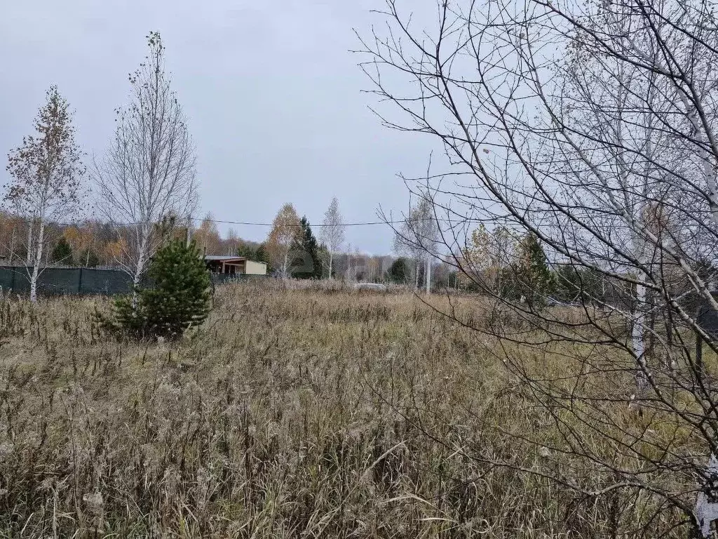 Участок в Челябинская область, Сосновский муниципальный округ, с. ... - Фото 1