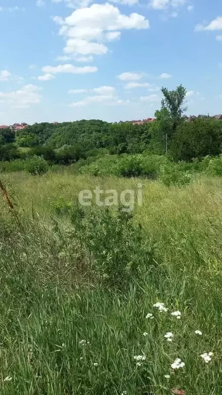 Участок в Белгородская область, Яковлевский муниципальный округ, с. ... - Фото 0