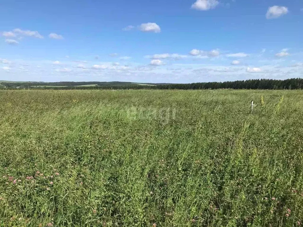 Участок в Удмуртия, Завьяловский район, д. Новая Казмаска  (12.3 сот.) - Фото 0