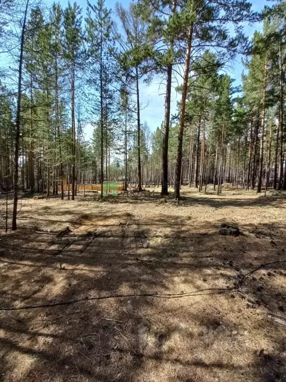 Участок в Забайкальский край, Читинский район, с. Смоленка  (7.62 ... - Фото 1