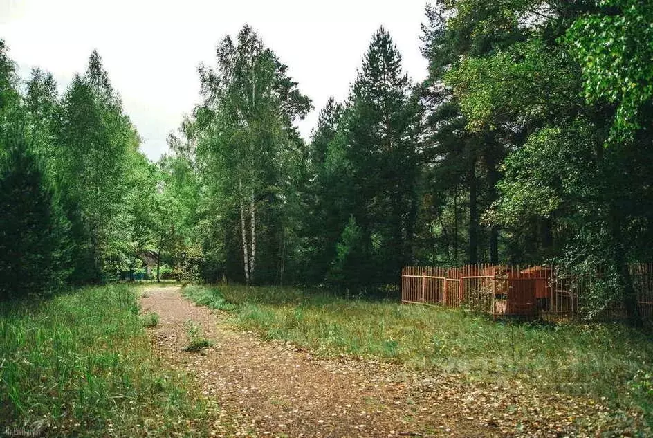 Участок в Рязанская область, Шацкий муниципальный округ, с. Ямбирно ... - Фото 2